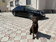 Mercedes-Benz S 450 2018 