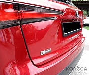 Lexus NX 300 2020 