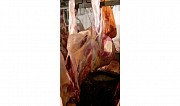 Принимаю мясо худое жирная ташяк главное договориться     
      Алматы, проспект Назарбаева, 223бло 