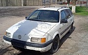 Volkswagen Passat, 1991 Құлан