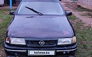 Opel Vectra, 1995 Мерке