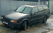 Volkswagen Passat, 1990 Есік