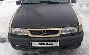 Opel Vectra, 1995 Шемонаиха