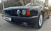 BMW 520, 1993 Аксукент