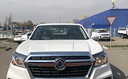 DongFeng Rich, 2020 