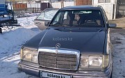 Mercedes-Benz E 230, 1991 Құлан