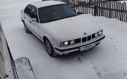 BMW 520, 1993 Смирново
