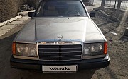 Mercedes-Benz E 230, 1989 Туркестан