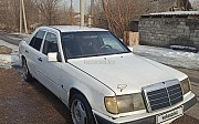 Mercedes-Benz E 230, 1988 Есік
