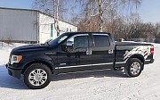 Ford F-Series, 2011 Риддер