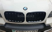 Решетка радиатора Ноздри на БМВ BMW BMW X6, 2007-2012 