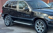 BMW X5, 4.4 автомат, 2006, кроссовер 