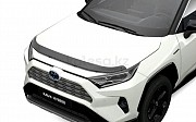 Мухобойка Toyota RAV4 50 Toyota RAV 4, 2019 Алматы