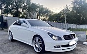 Обвес BRABUS (передний сплиттер и задний диффузор) на Mercedes CLS Mercedes-Benz CLS 350, 2004-2008 