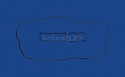 Прокладка клапанной крышки (пластиковая крышка) Ford Escape Алматы