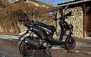 Peda Bummer 150 cc 2022 г. Алматы