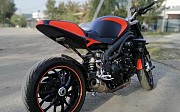 Triumph Speed Triple 1050 2009 г. 