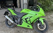 Kawasaki Ninja 250r 2010 г. 