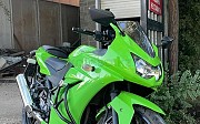 Kawasaki Ninja 250r 2010 г. 