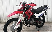 Peda Enduro Tulpar B10 2021 г. 