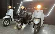 Honda Today AF-61 Свеже Доставлен из Японии! Большой Выбор! 2005 г. 