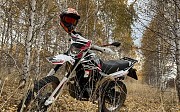 Racer Panther 250 2019 г. 