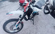 Racer Panther RC250GY-C2 Panther 2022 г. 