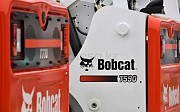 Bobcat Алматы