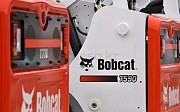 Bobcat 